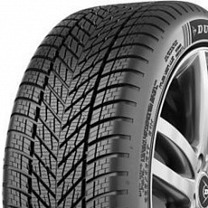Dunlop Winter 225/35 R 19 88W