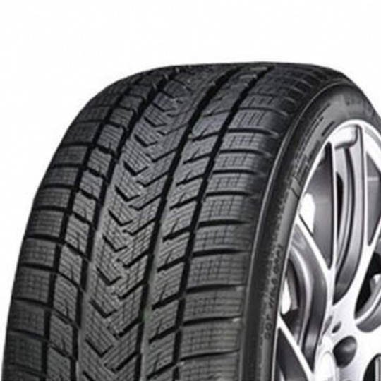 Gripmax Status Pro Winter 255/45 R 19 104V